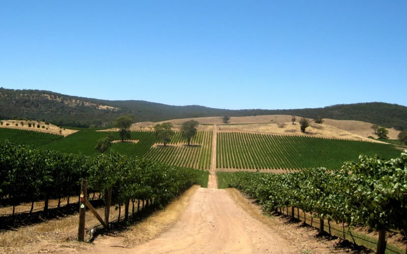Barossa Valley South Australia Travel